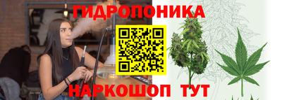 ешки Анапа