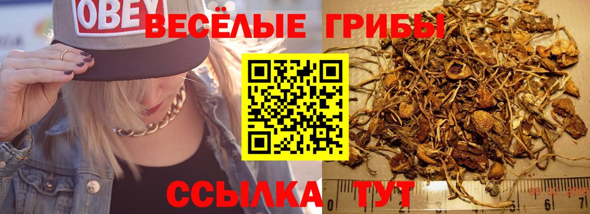 Галлюциногенные грибы мицелий Медногорск