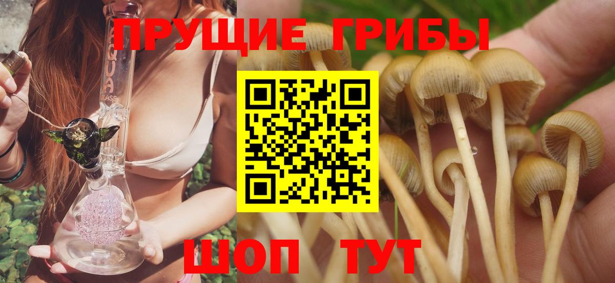 Псилоцибиновые грибы MAGIC MUSHROOMS  Вход с VPN  Медногорск 