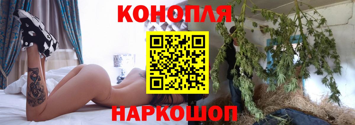 Каннабис план  Бошки Шишки Amnesia  Медногорск  Марихуана гибрид  Бошки Шишки MAZAR  Вход с VPN 